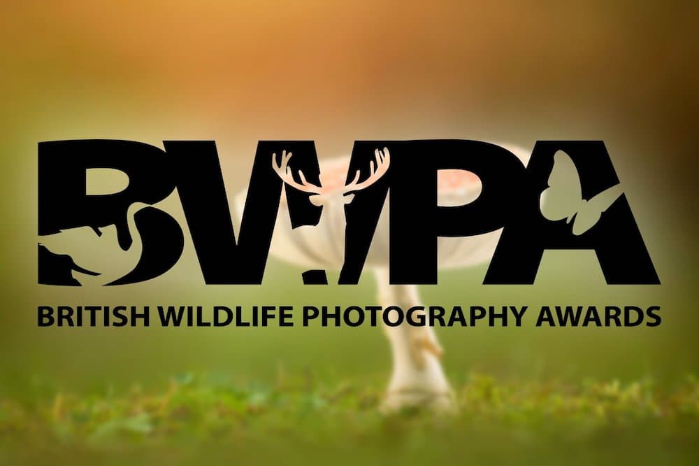 British Wildlife Photography Awards 2025