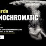 Monochromatic Awards 2024