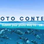 Ocean Conservancy’s Annual Photo Contest 2024