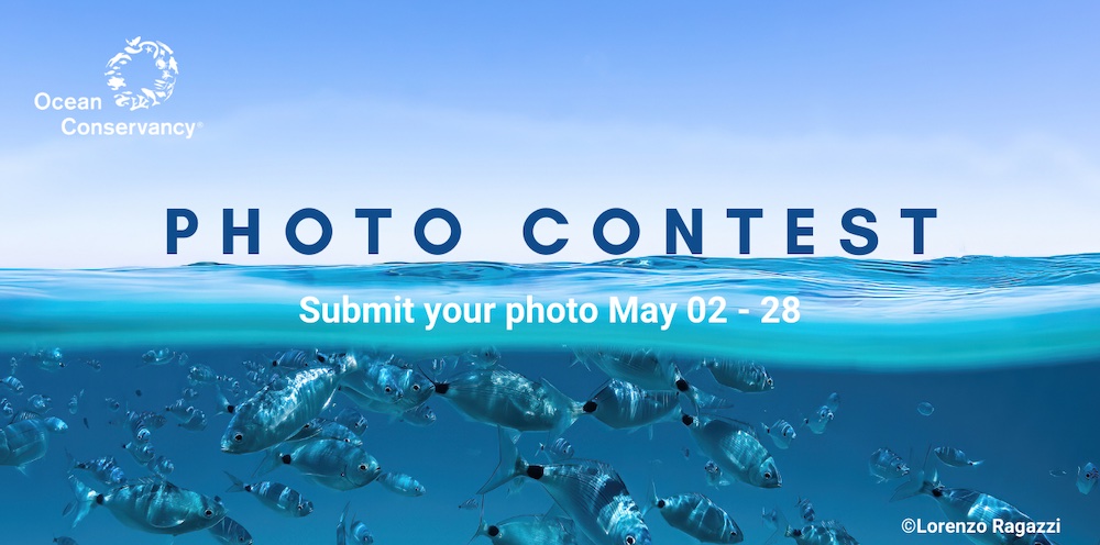 Ocean Conservancy’s Annual Photo Contest 2024