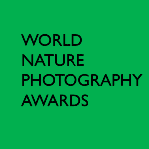 World Nature Photography Awards 2025 - Deartline