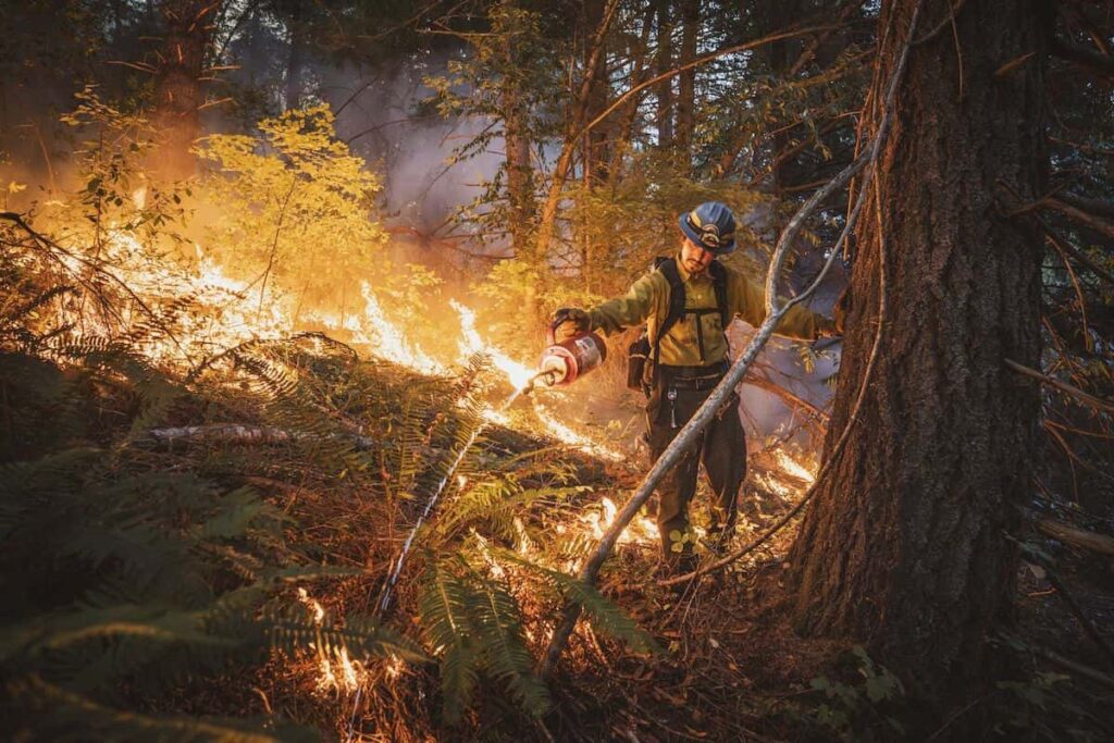 Good Fire by Maddy Rifka, BigPicture 2024 Human/Nature Category Winner.