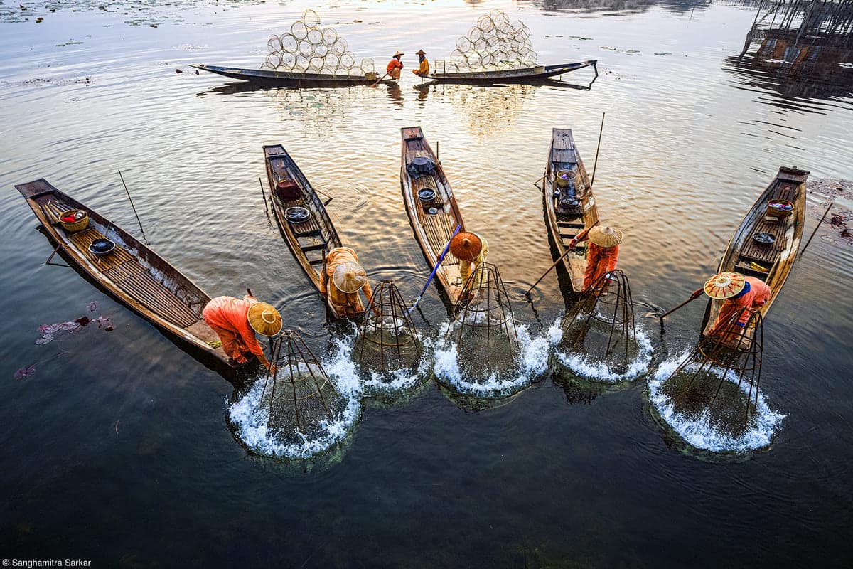 Morning Work by Sanghamitra Sarkar - Highly Commended Place Tenderstem® Bring Home the Harvest