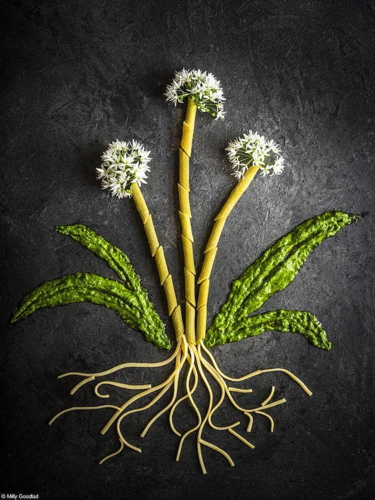 Wild Garlic Pesto with Pasta by Milly Goodlad - 2nd Place Young - 12 and under