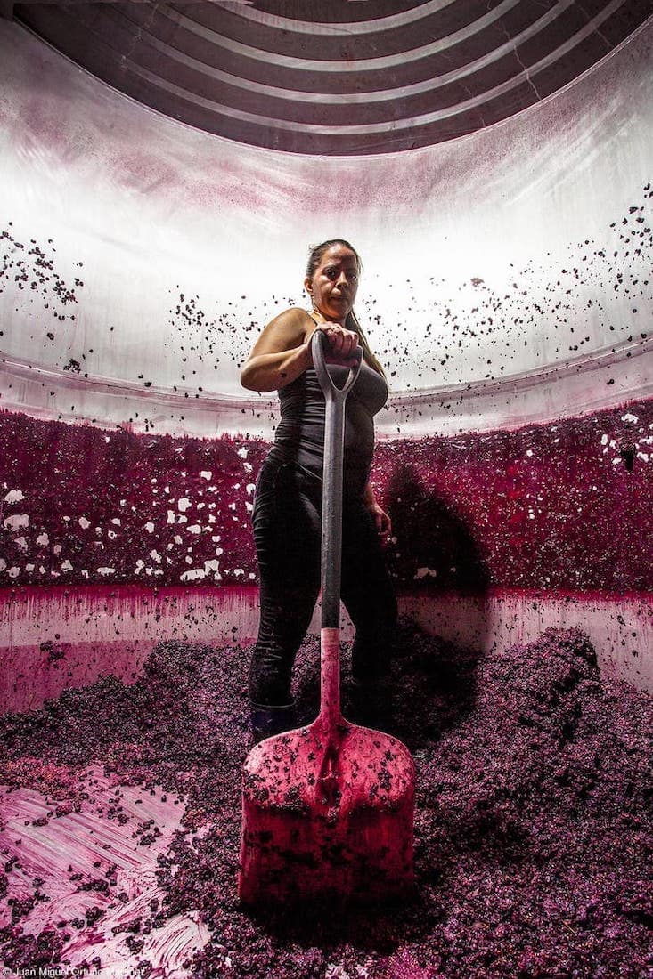 Wine Worker by Juan Miguel Ortuño - 2nd Place Errazuriz Wine Photographer of the Year - People