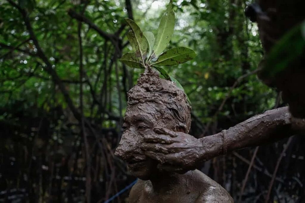 Mangrove Photography Awards 2024 Winners: Capturing Conservation ...