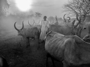 Mundari - The Last Shepherds, by Krzysztof Werema - Monovisions Travel Series of the Year 2024 Winner 4