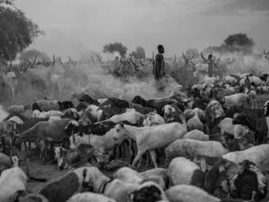 Mundari - The Last Shepherds, by Krzysztof Werema - Monovisions Travel Series of the Year 2024 Winner 7