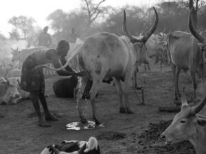 Mundari - The Last Shepherds, by Krzysztof Werema - Monovisions Travel Series of the Year 2024 Winner 8