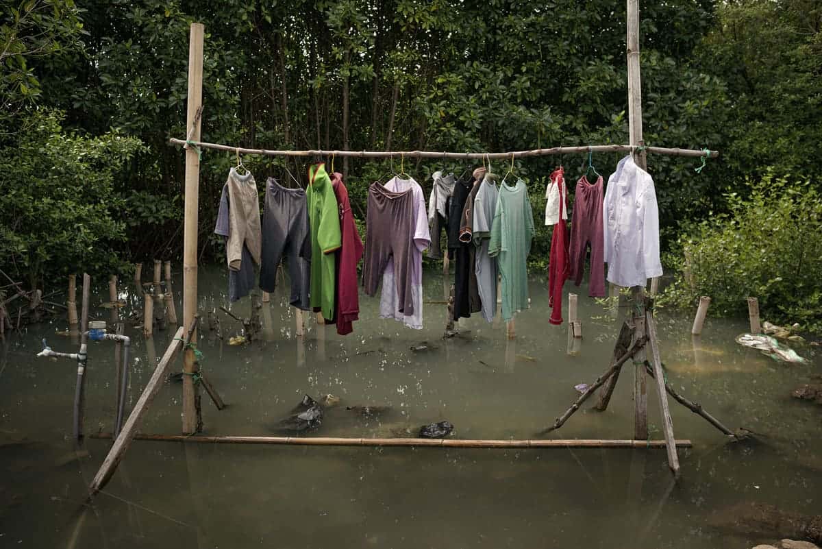 Symbiosis by Giacomo d'Orlando, Indonesia - Mangrove Photography Awards 2024- Mangroves & Conservation Stories Winner 1