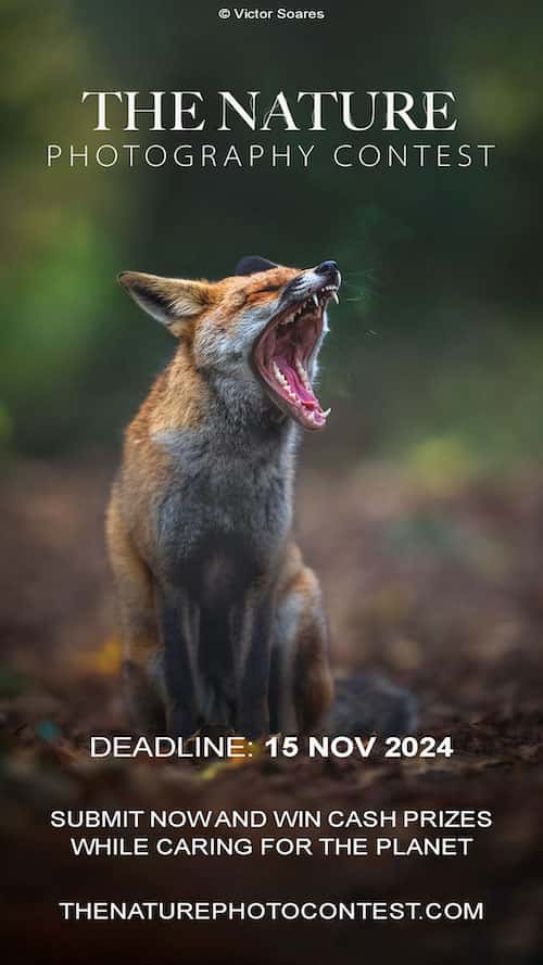 The Nature Photography Contest 2024 - Promo_1 - Deartline