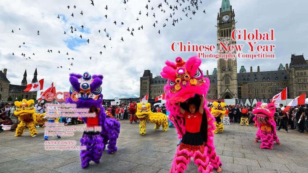 2025 Global Chinese New Year Photography Competition