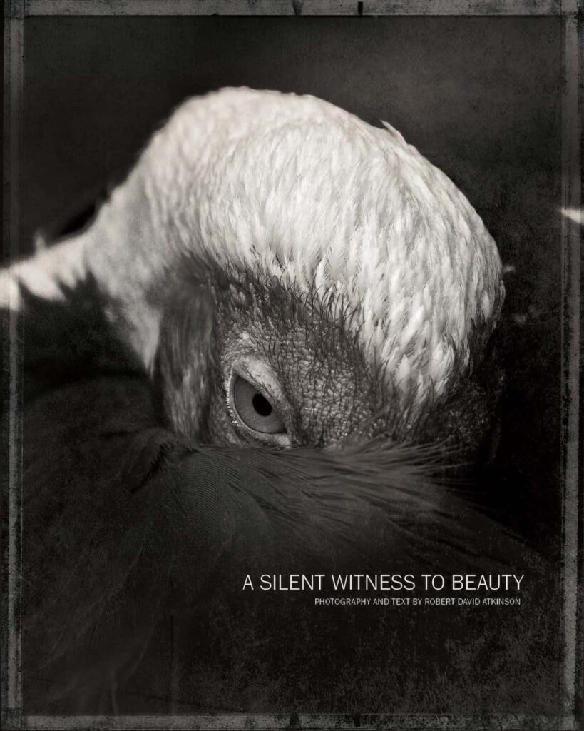 A Silent Witness To Beauty - Robert David Atkinson - Professional Book Photographer of the year - Prix de la Photographie Paris 2024