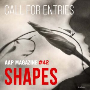 AAP Magazine 42- Shapes - Deartline