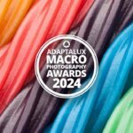 Adaptalux Macro Photography Awards 2024