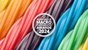 Adaptalux Macro Photography Awards 2024 - Deartline