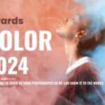 Color Awards 2024