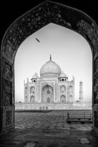 Julian Elliott - Lone flight over the Taj Mahal - Finalist in the Black and White Photo Awards 2024