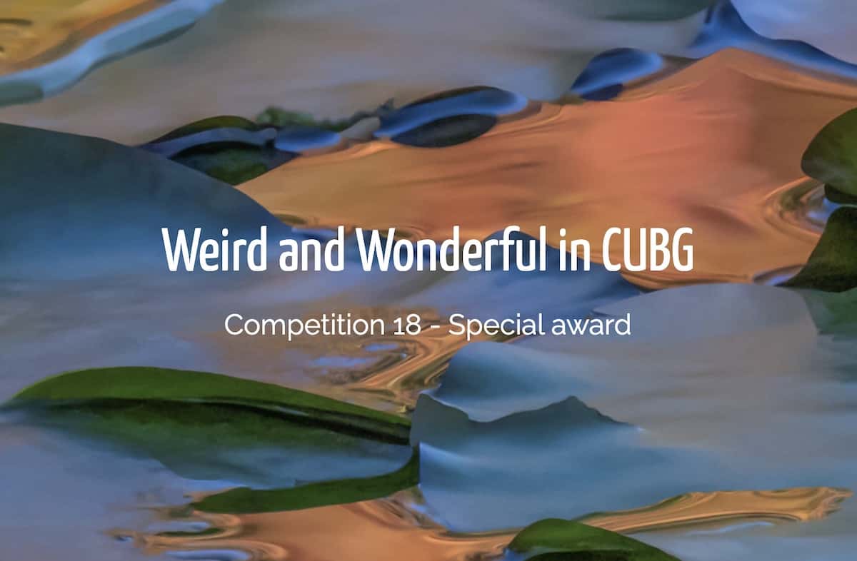 Weird and Wonderful in CUBG  (IGPOTY 18) Special Award