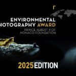 Environmental Photography Award 2025