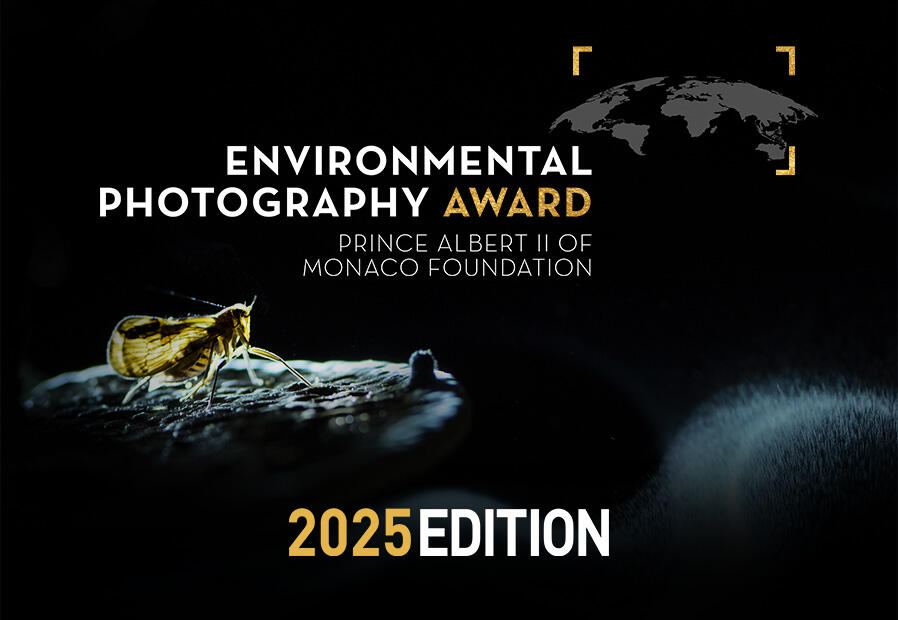 Environmental Photography Award 2025 by the Prince Albert II of Monaco Foundation