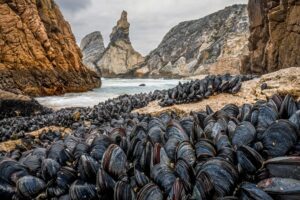 Natural Landscape Photography Awards 2024 - poty Highly Commended Theo Bosboom