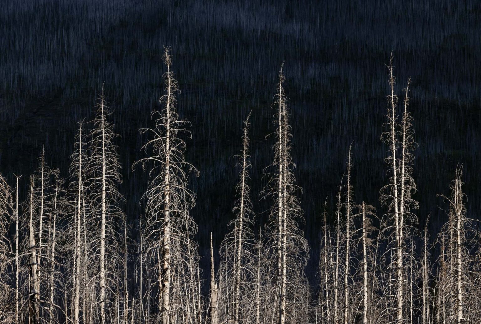 Natural Landscape Photography Awards 2024 - Photographer of the Year: Andrew Mielzynski