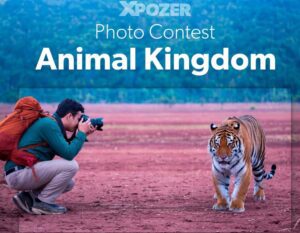 Xpozer Animal Kingdom Photo Contest 2024