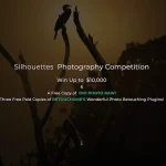 Silhouettes Photography Competition