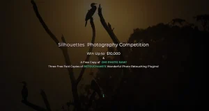 Silhouettes Photography Competition