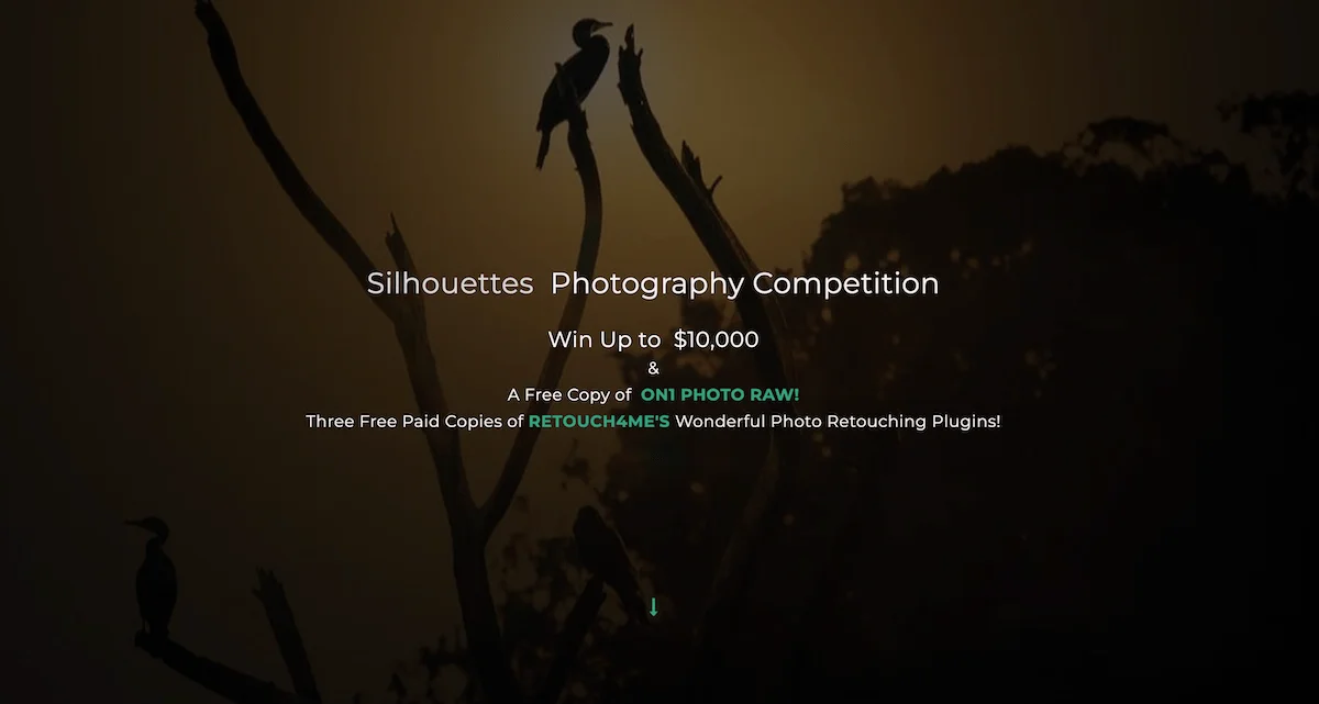 Silhouettes Photography Competition