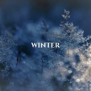 Winter - A Winter Photography Exhibition