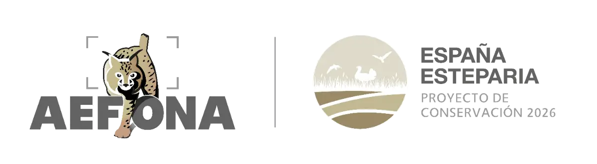 AEFONA Photography Contest 2026