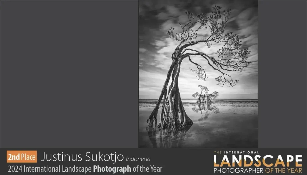 Justinus Sukotjo - Photograph of the Year Award - 2nd place in the 2024 International Landscape Photographer of the Year Awards