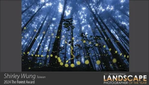 Shirley Wung - 2024 Forest Award in the Landscape Photographer of the Year 2024