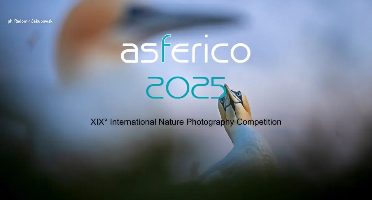 Asferico 2025 – XIX International Nature Photography Competition