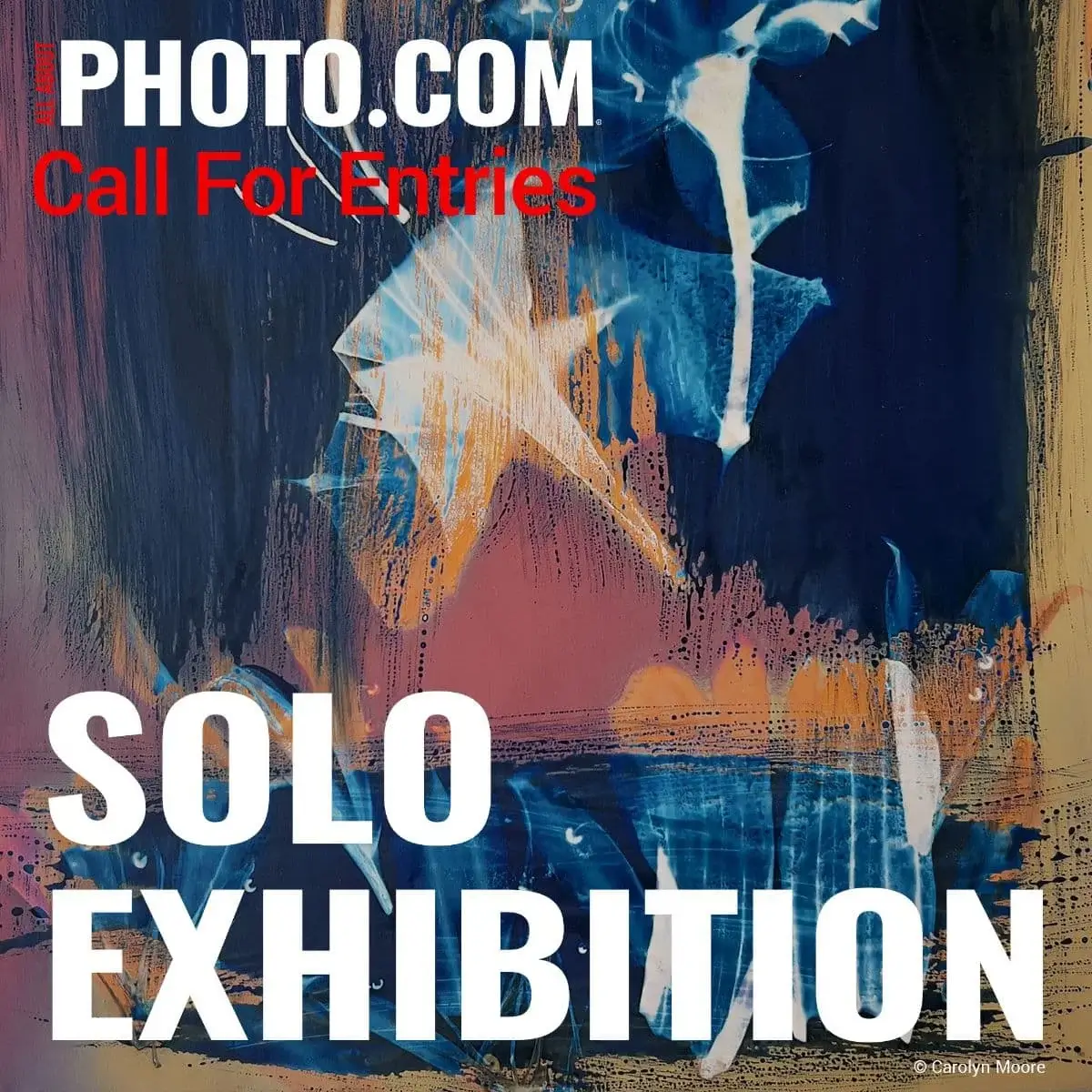 Solo Exhibition February 2025 by All About Photo