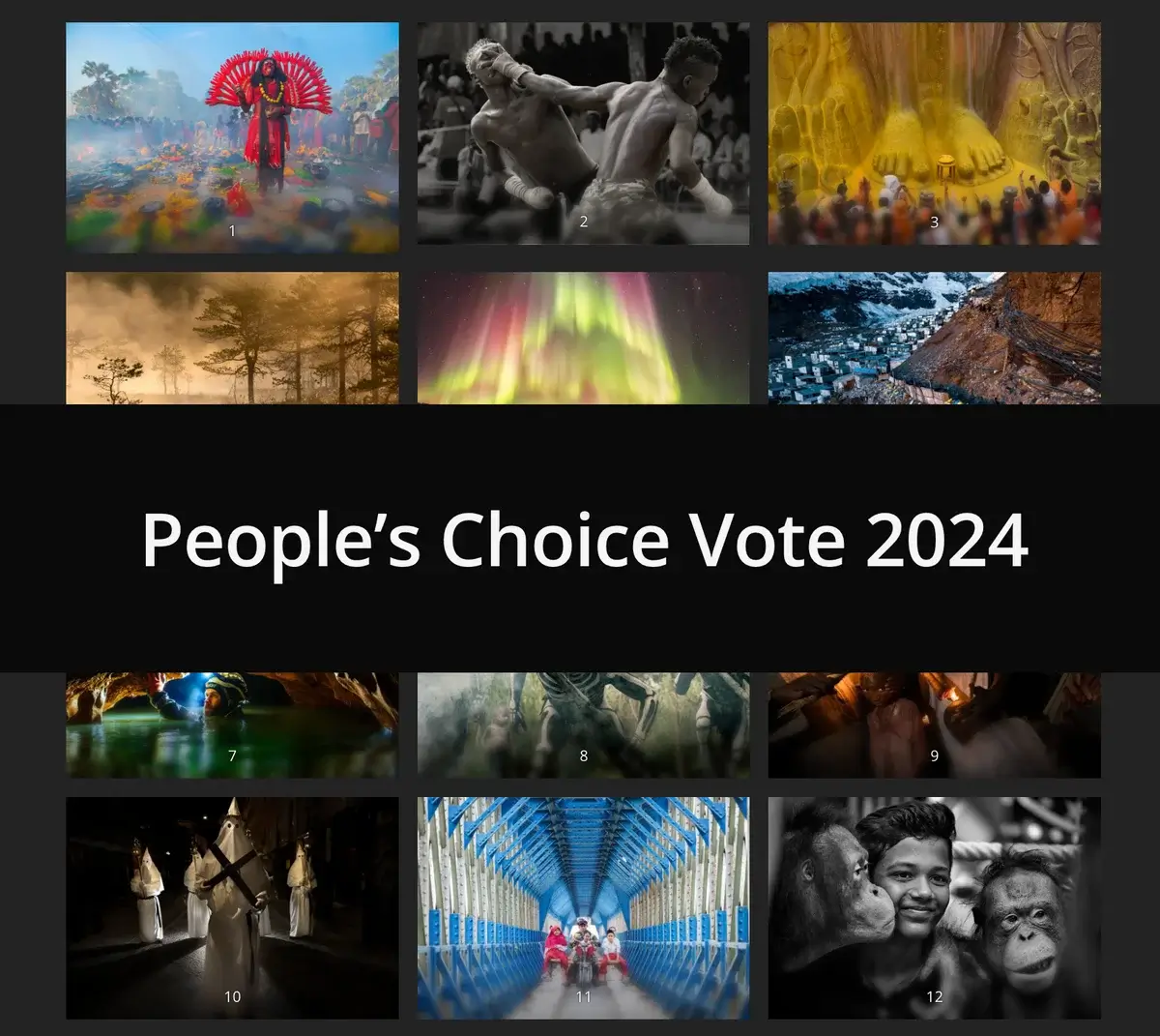 TPOTY 2024 People’s Choice Vote