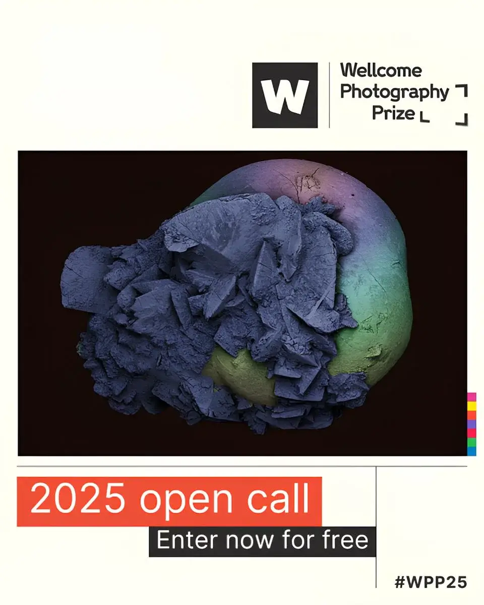 Wellcome Photography Prize 2025