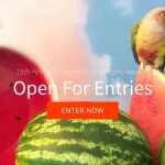 19th Annual iPhone Photography Awards 2026 (IPPAWARDS 2026)