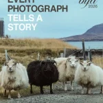 Budapest International Foto Awards 2026 (BIFA 2026)