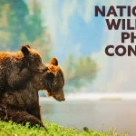National Wildlife Photo Contest 2025