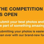 18th Rovinj Photodays 2025 - International Competition of Contemporary Photography