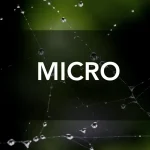 Micro Photography Contest by NAT PHOTO SOCIETY