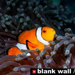 Moments of Color 2026 by Blank Wall Gallery