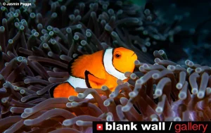 Moments of Color 2026 by Blank Wall Gallery