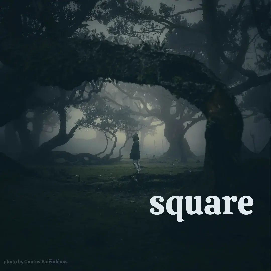 Square Photography Exhibit by Decode Gallery