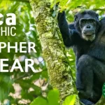 Africa Geographic Photographer of the Year 2026