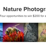 Audubon Community Nature Center 2025 Nature Photography Contest