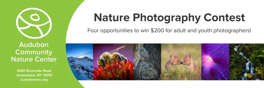 Audubon Community Nature Center 2025 Nature Photography Contest 2 - Deartline Audubon Community Nature Center 2025 Nature Photography Contest